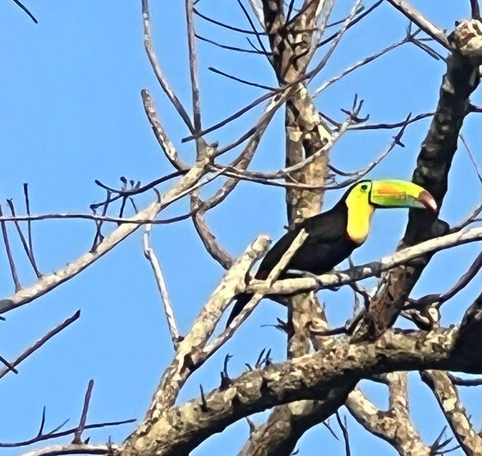 Tawaca Ecohotel Calabazo  Kültér fotó